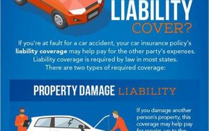 Insurance Liability Car