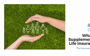 Family Life Supplemental Insurance Image